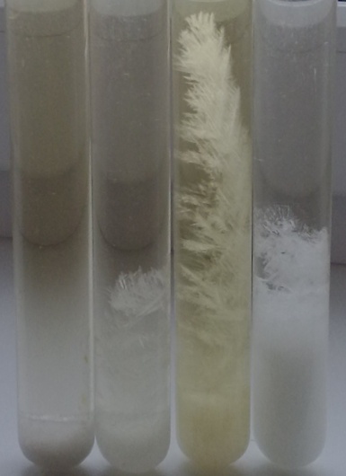 Штормгласс – кристаллы предсказатели - 6 Штормгласс – кристаллы предсказатели - 6