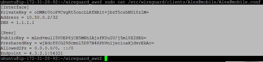 Бесплатный VPN сервис Wireguard на AWS - 46 Копирование текста с конфигурацией