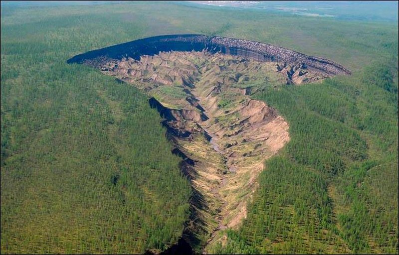 Ученые взяли кровь у лошади возрастом 42 тысячи лет