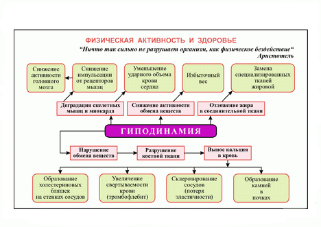 Как компьютерщику сохранить свое здоровье. Личный опыт - 3 image