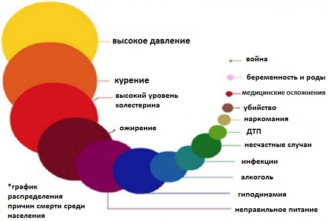 Как компьютерщику сохранить свое здоровье. Личный опыт - 4 image