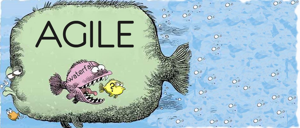 Про что важно не забыть, когда внедряешь Agile в крупной компании - 1 image