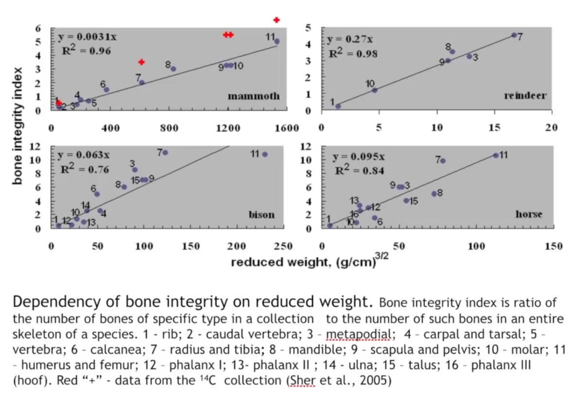 Мох и мамонты (часть 2) - 11 image