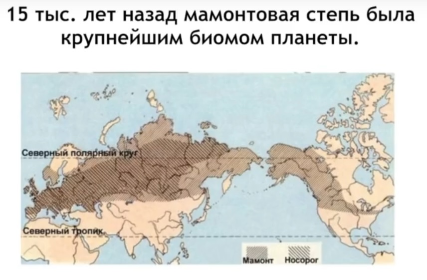 Мох и мамонты (часть 2) - 2 image