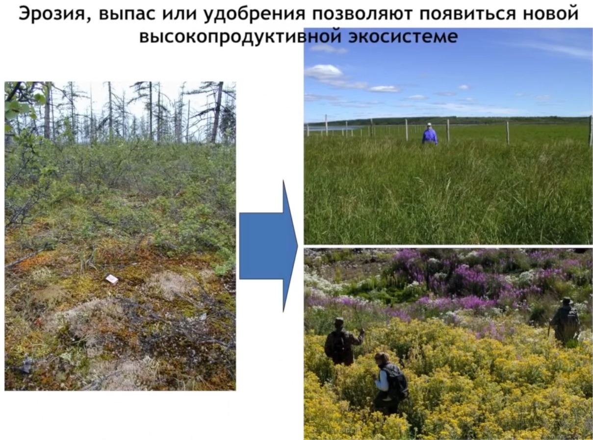 Мох и мамонты (часть 2) - 21 image