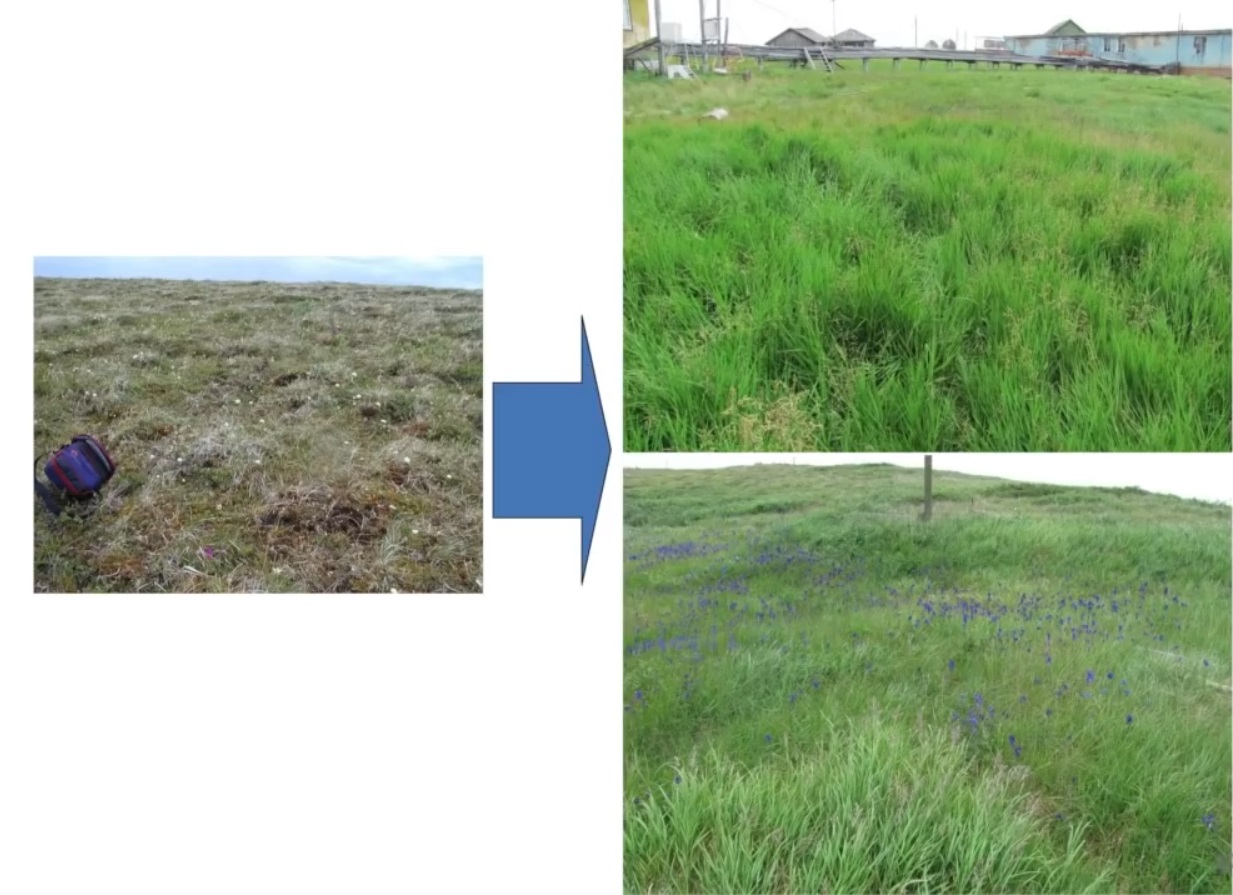 Мох и мамонты (часть 2) - 22 image