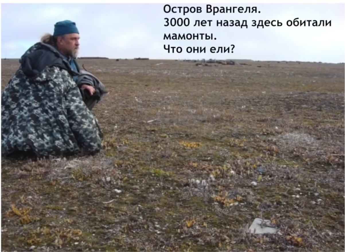 Мох и мамонты (часть 2) - 24 image