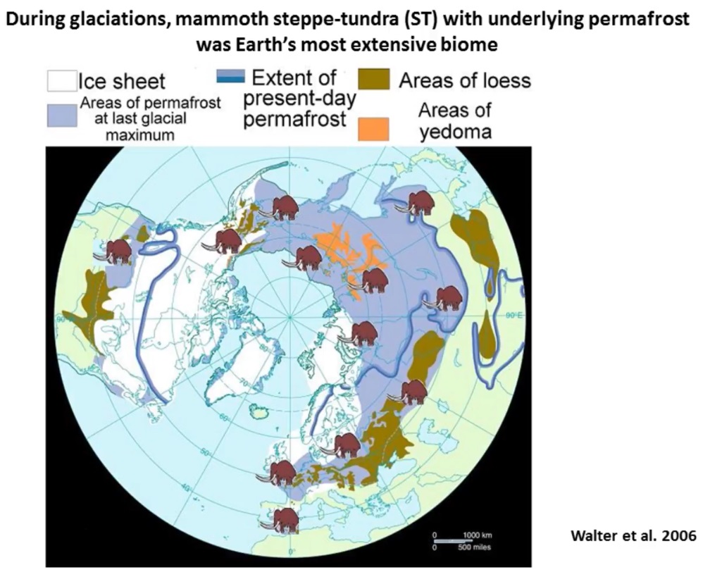 Мох и мамонты (часть 2) - 3 image