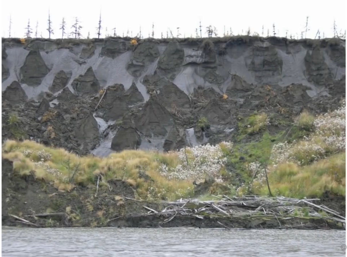 Мох и мамонты (часть 2) - 32 image