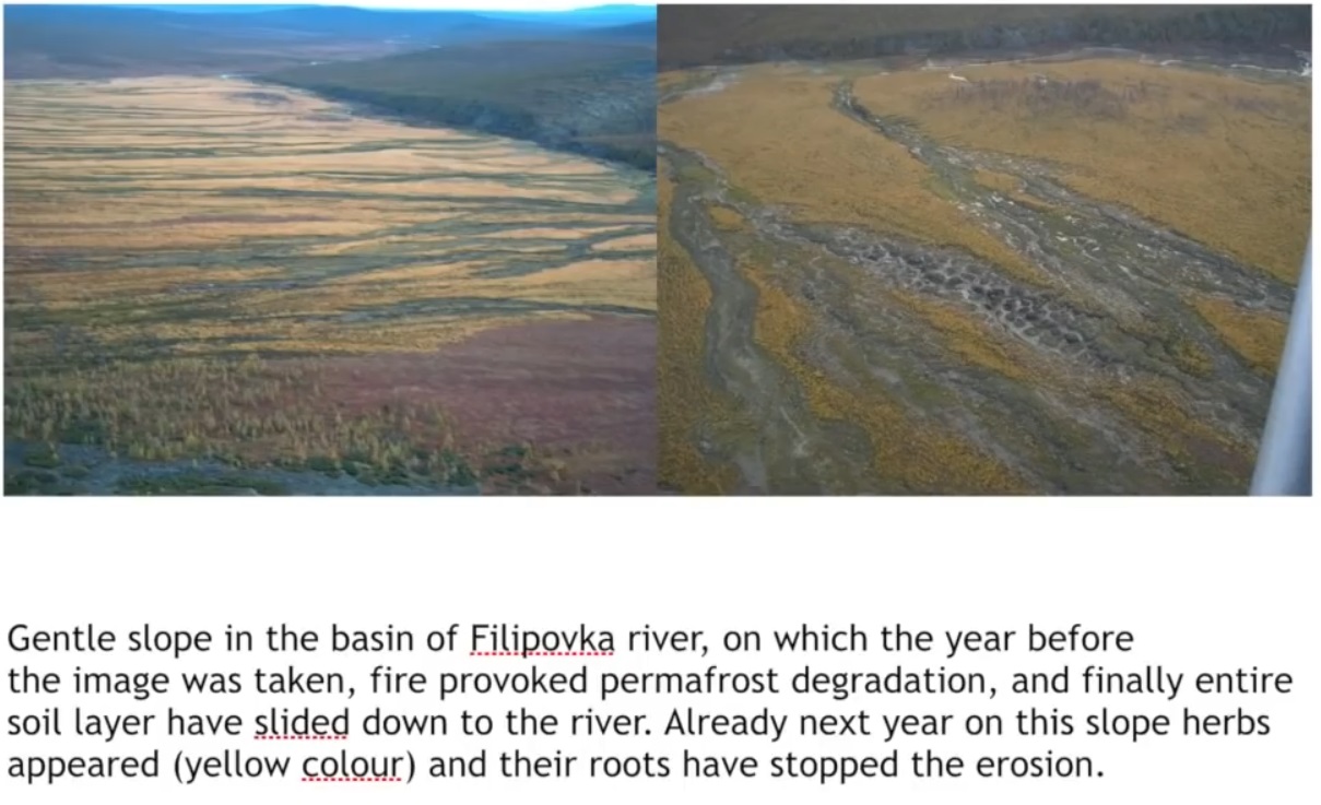 Мох и мамонты (часть 2) - 34 image