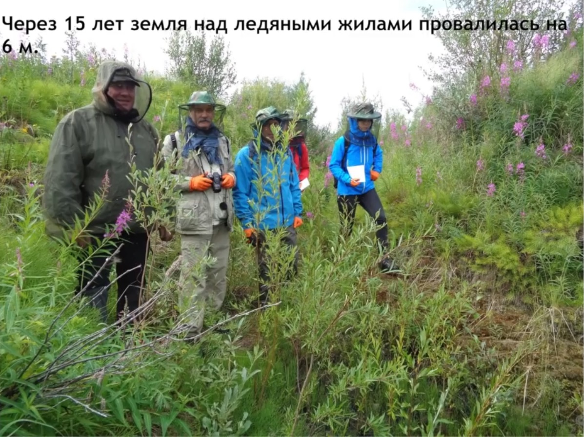 Мох и мамонты (часть 2) - 35 image