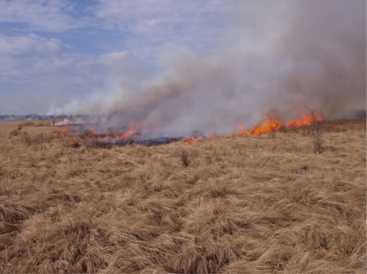 Мох и мамонты (часть 2) - 42 image