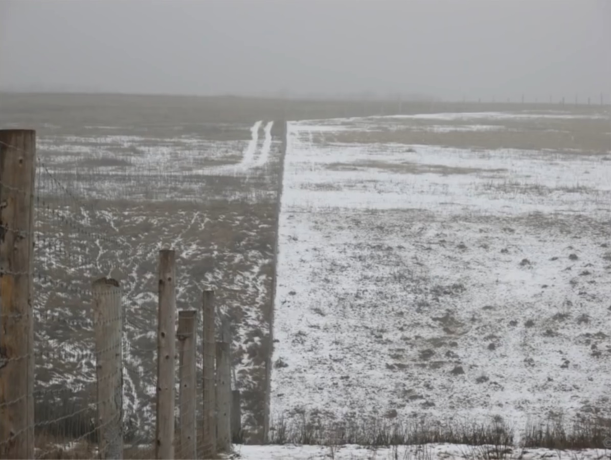 Мох и мамонты (часть 2) - 44 image