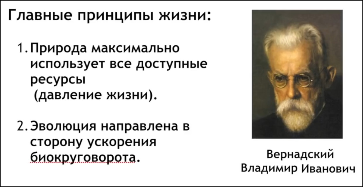 Мох и мамонты (часть 2) - 49 image