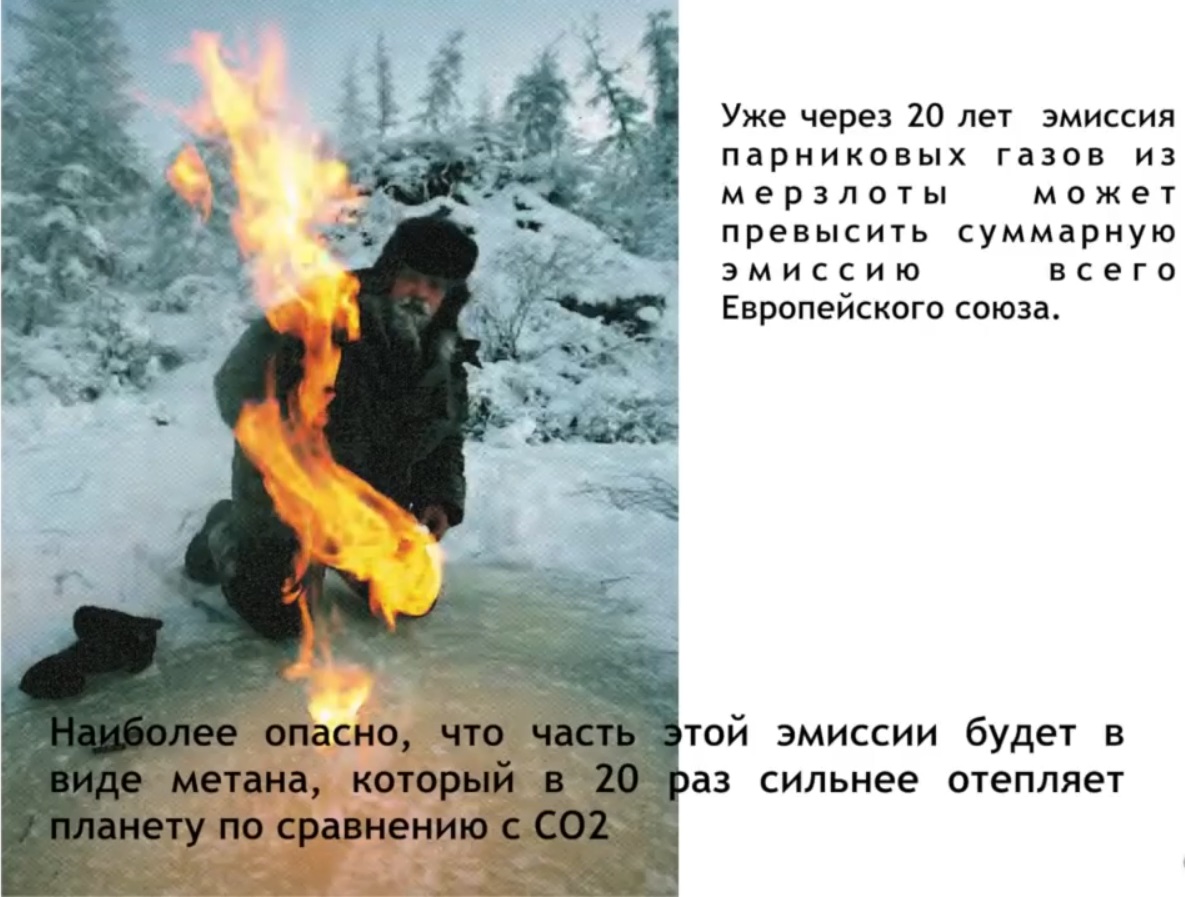 Мох и мамонты (часть 2) - 5 image