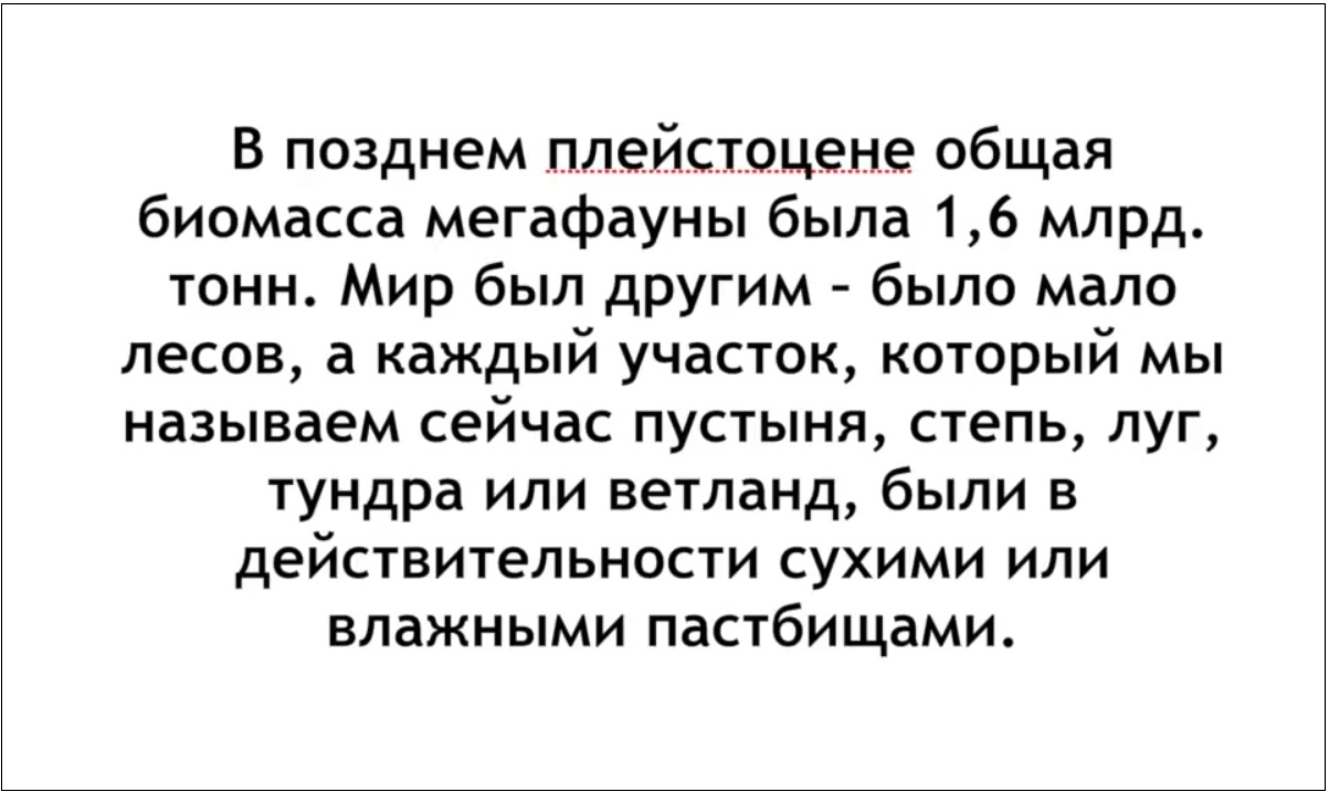 Мох и мамонты (часть 2) - 52 image