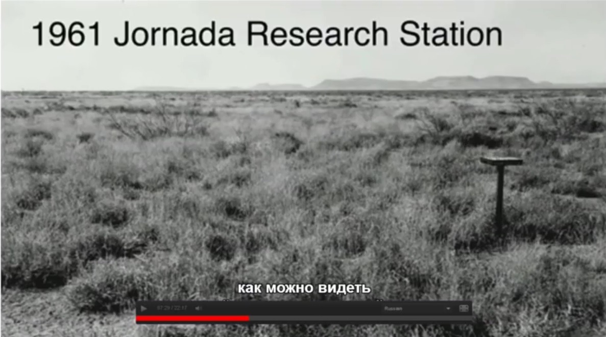 Мох и мамонты (часть 2) - 59 image