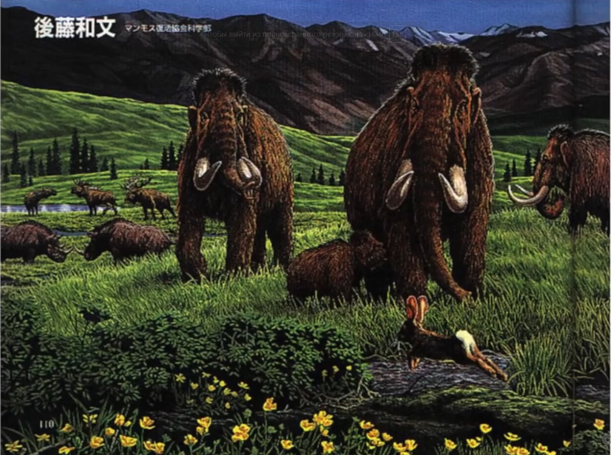 Мох и мамонты (часть 2) - 6 image