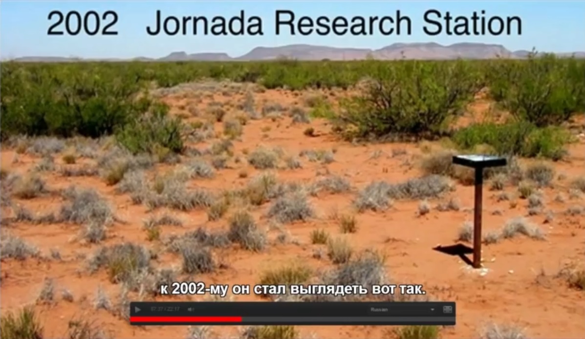 Мох и мамонты (часть 2) - 60 image