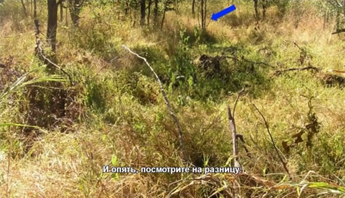 Мох и мамонты (часть 2) - 64 image