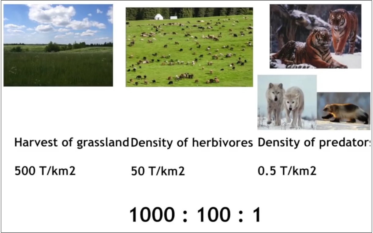 Мох и мамонты (часть 2) - 68 image