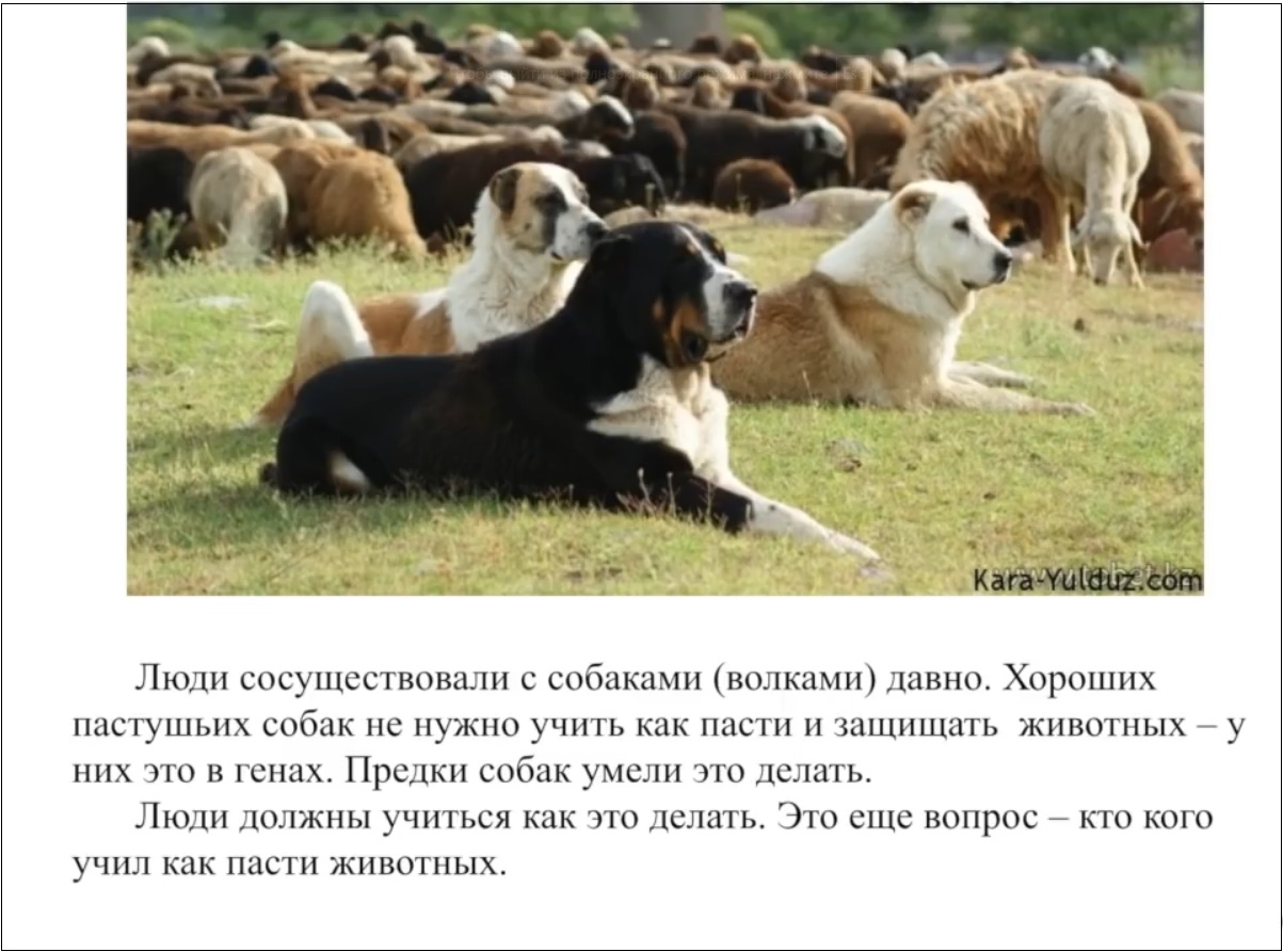 Мох и мамонты (часть 2) - 71 image