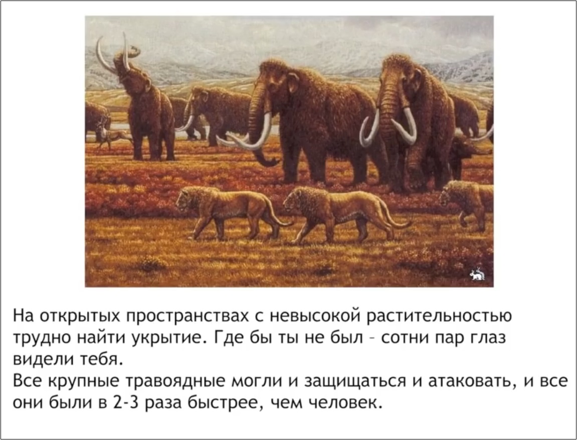 Мох и мамонты (часть 2) - 72 image