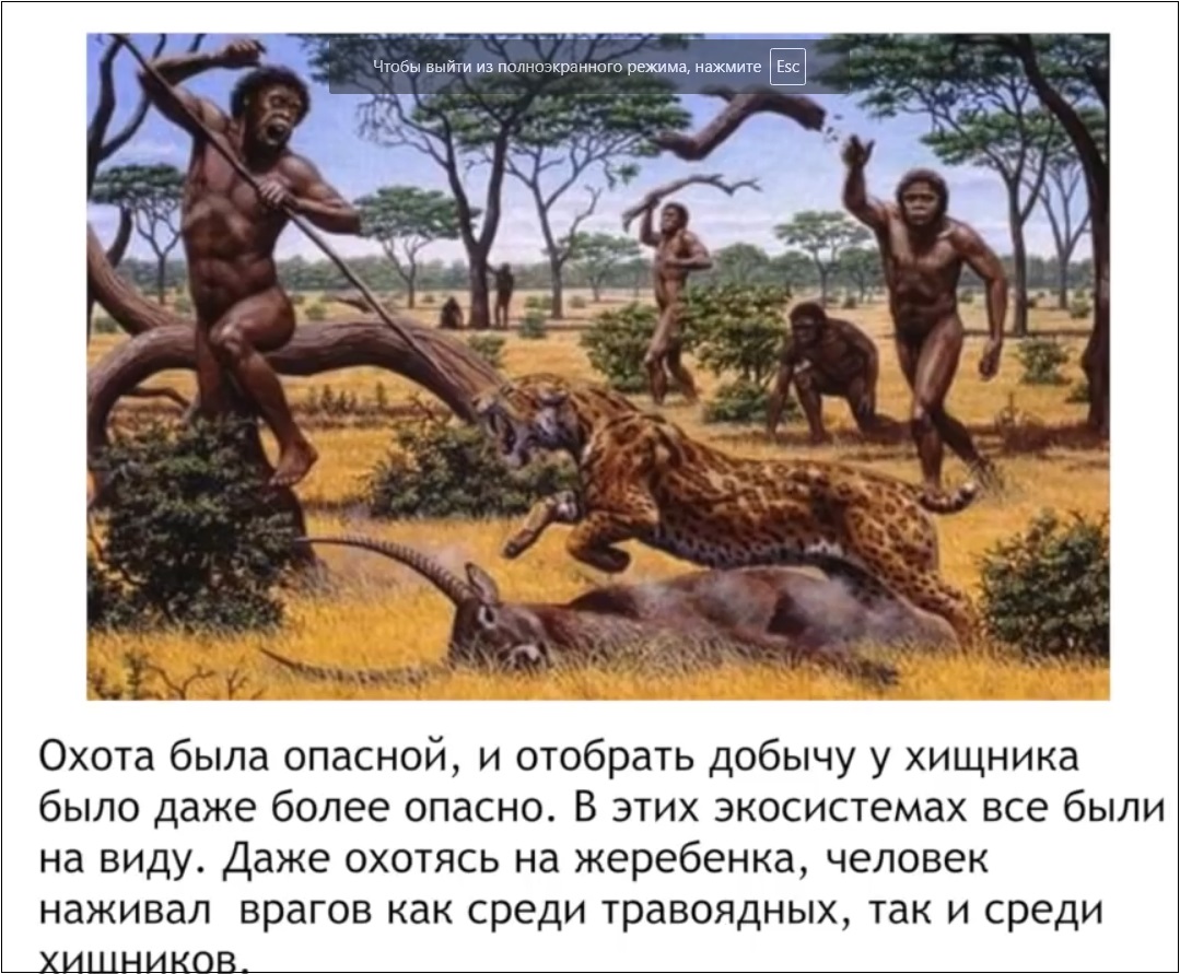 Мох и мамонты (часть 2) - 73 image