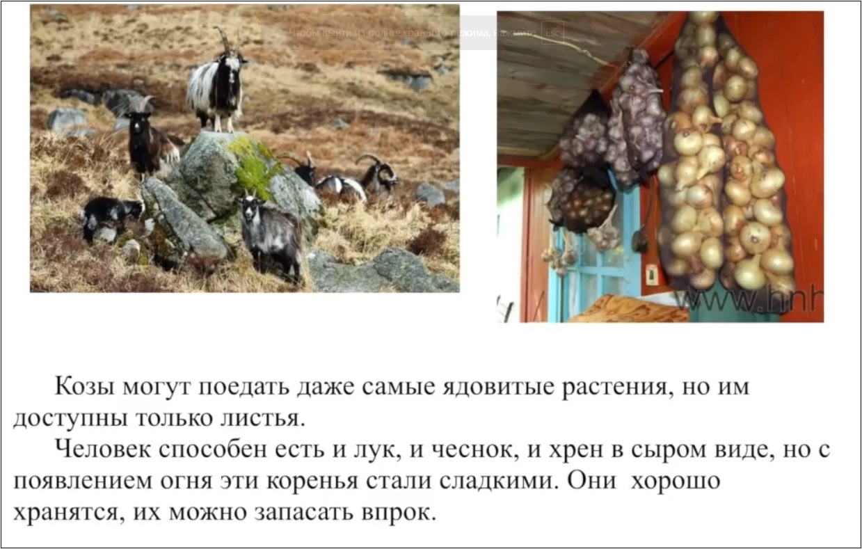 Мох и мамонты (часть 2) - 75 image