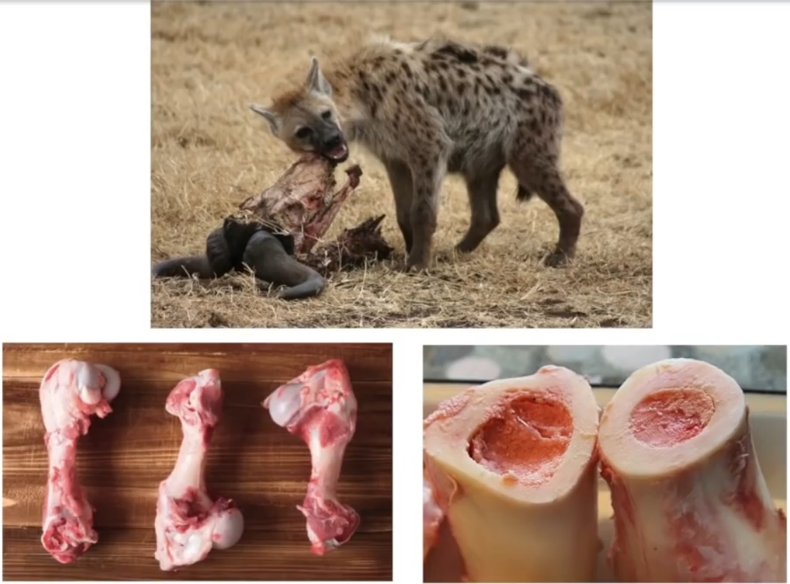 Мох и мамонты (часть 2) - 76 image