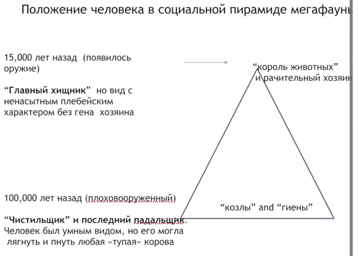 Мох и мамонты (часть 2) - 77 image