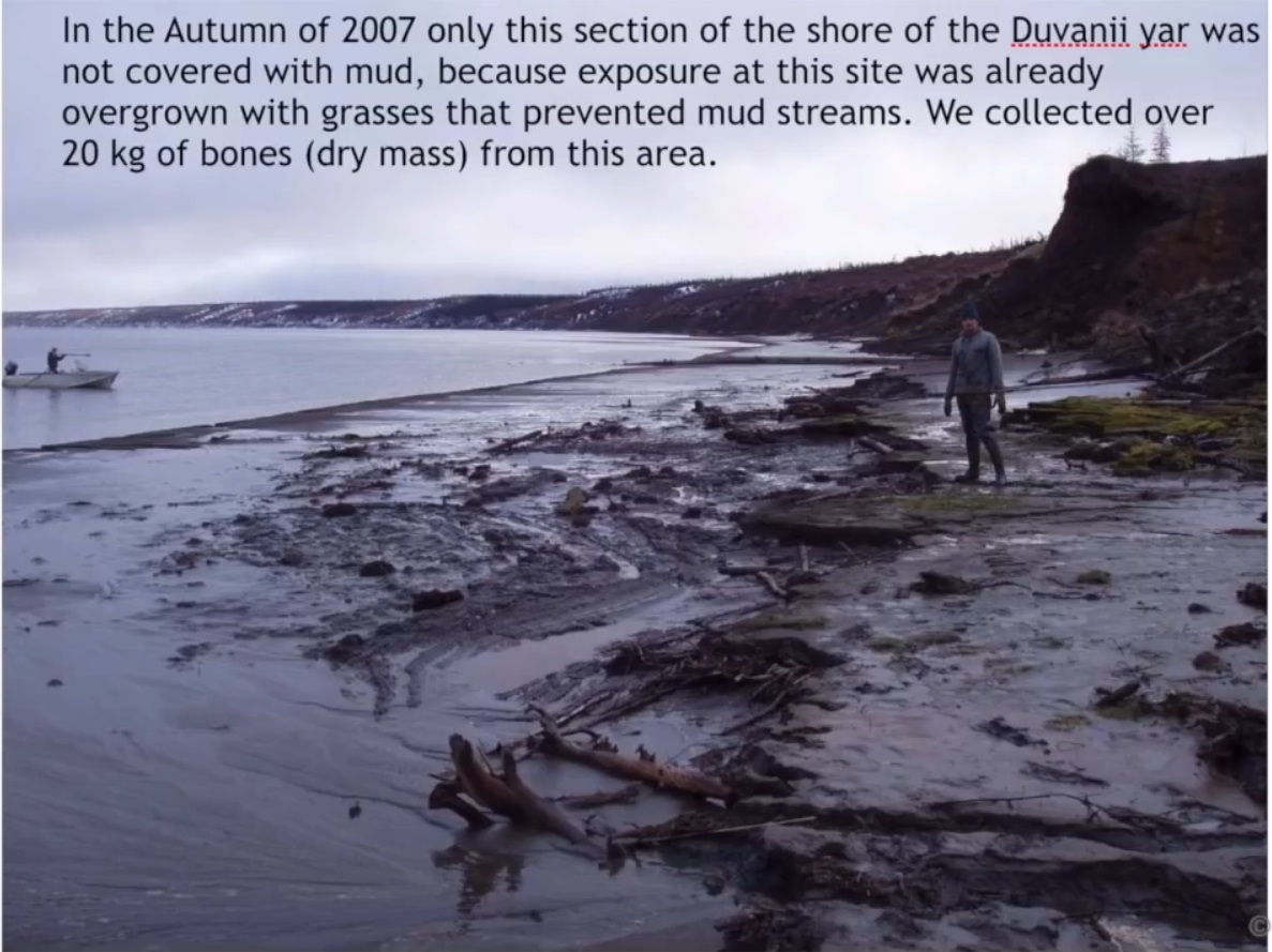 Мох и мамонты (часть 2) - 8 image