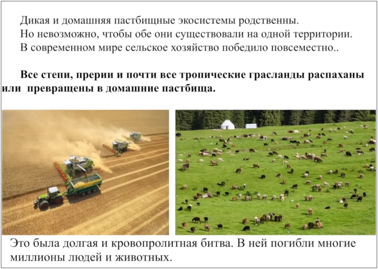 Мох и мамонты (часть 2) - 80 image