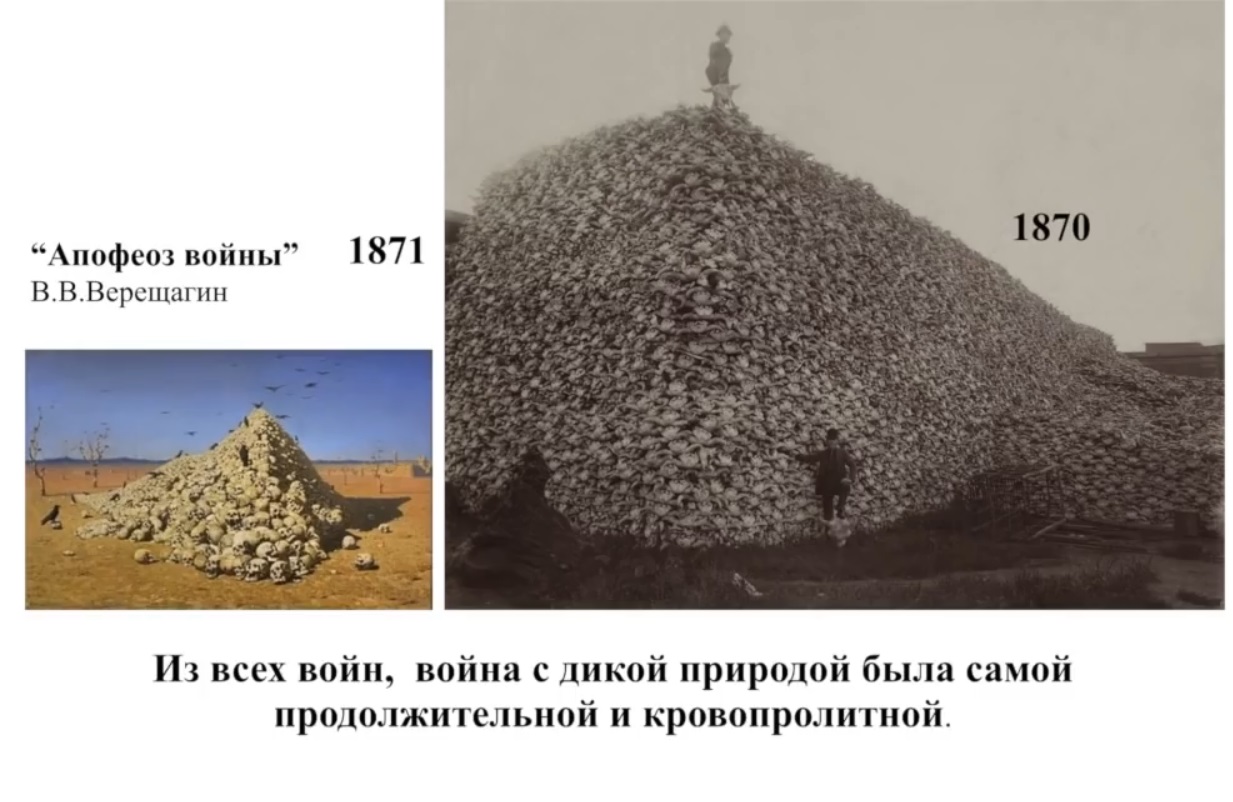 Мох и мамонты (часть 2) - 83 image