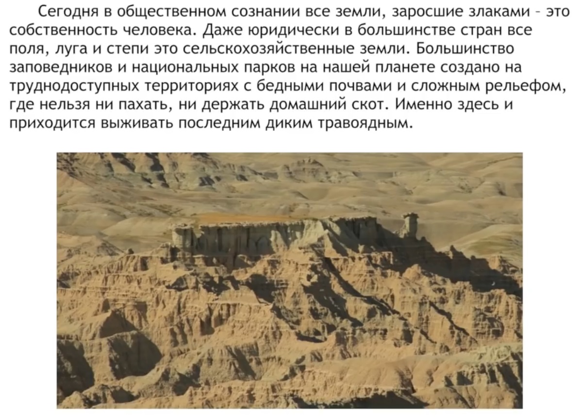 Мох и мамонты (часть 2) - 84 image