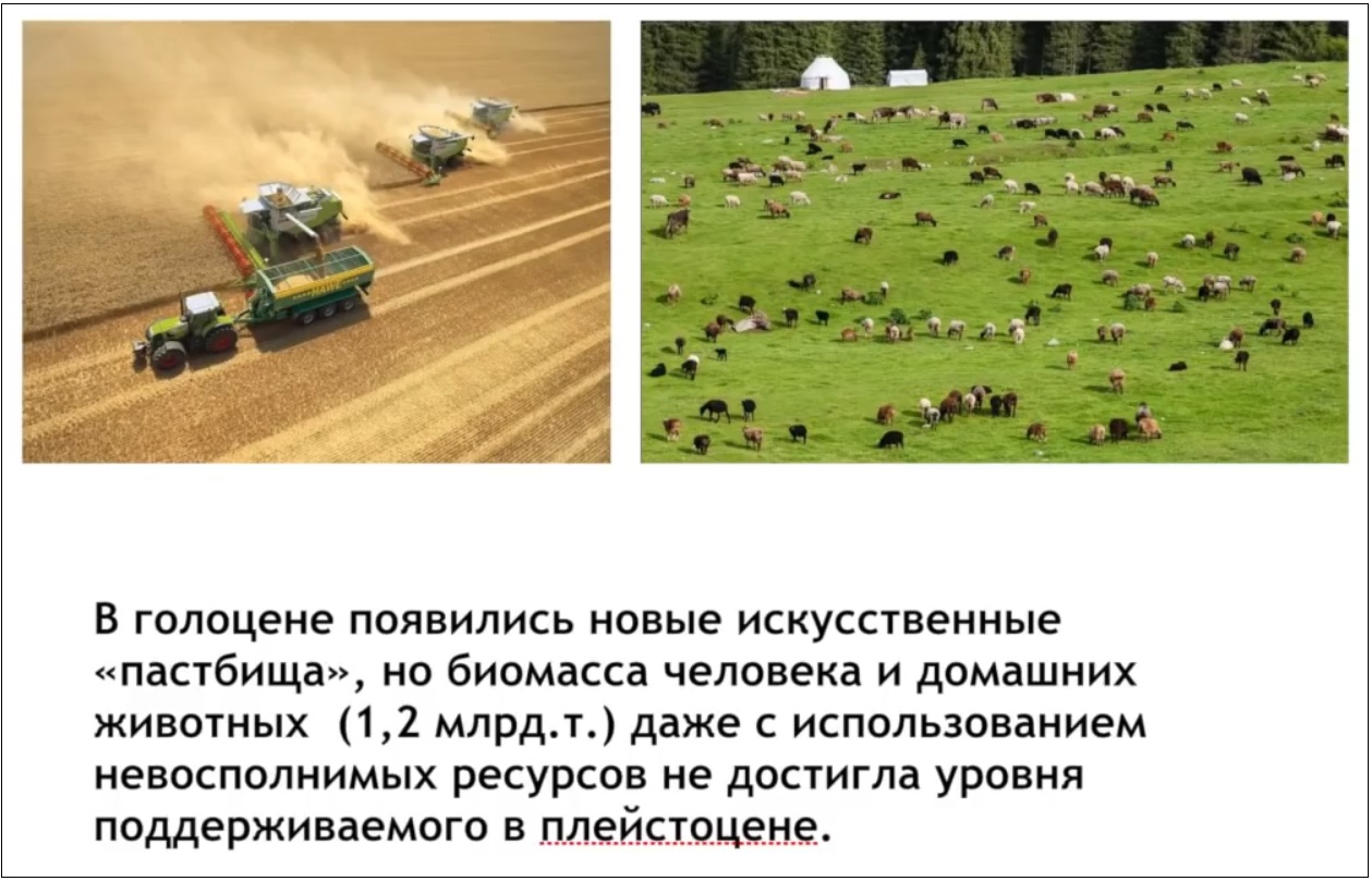 Мох и мамонты (часть 2) - 85 image