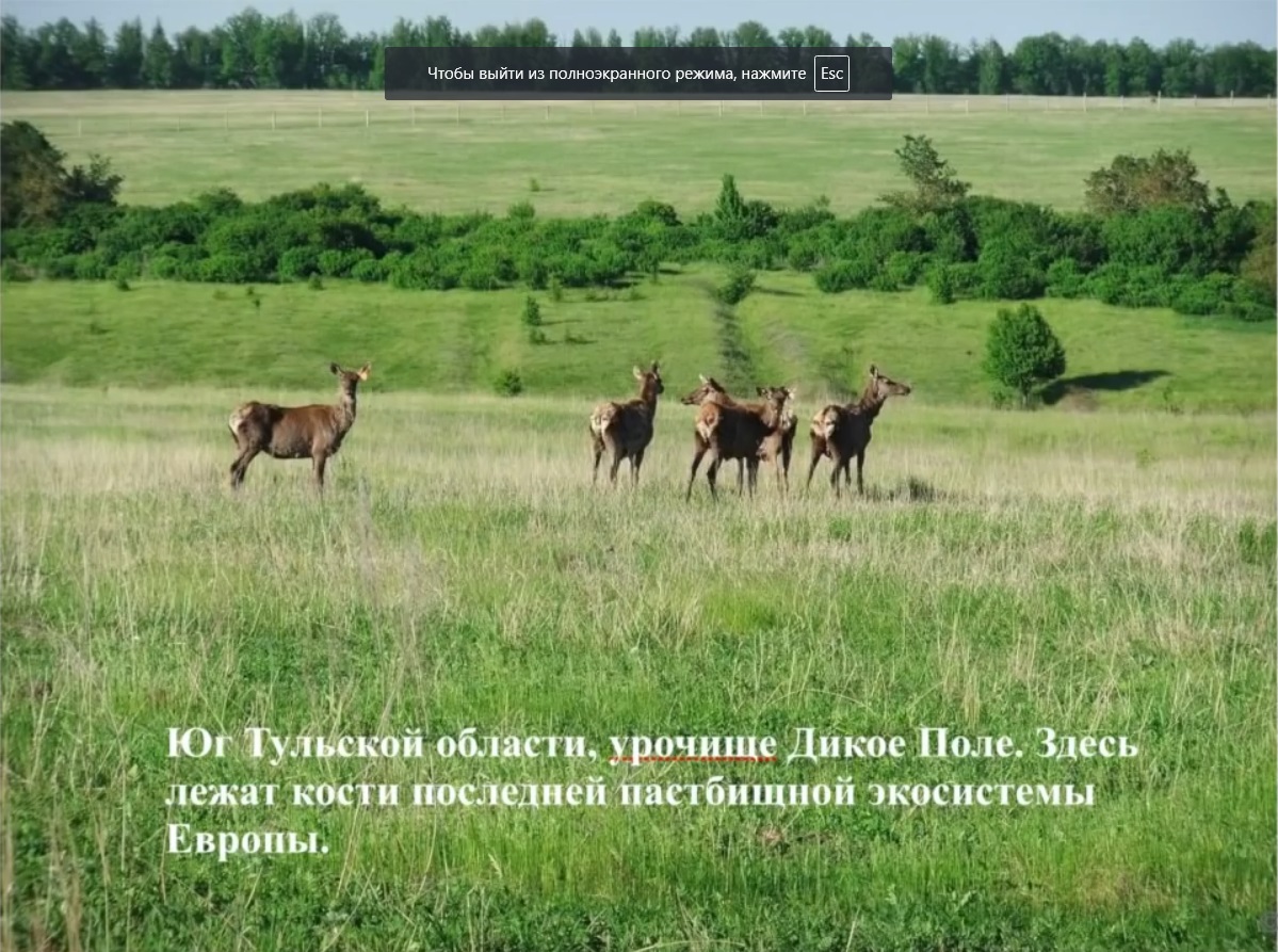 Мох и мамонты (часть 2) - 89 image