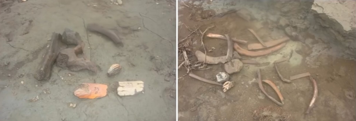 Мох и мамонты (часть 2) - 9 image