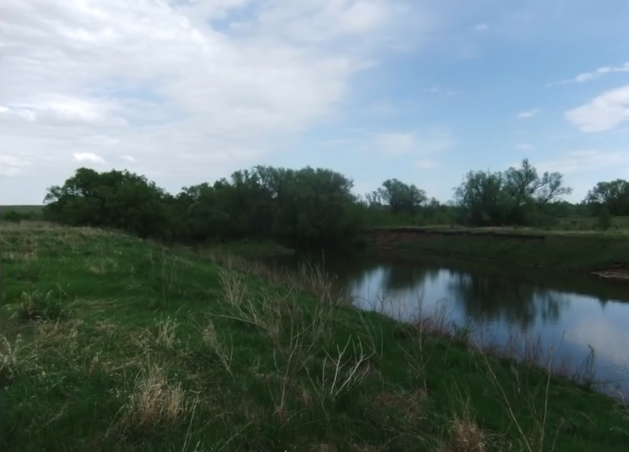 Мох и мамонты (часть 2) - 90 Мох и мамонты (часть 2) - 90