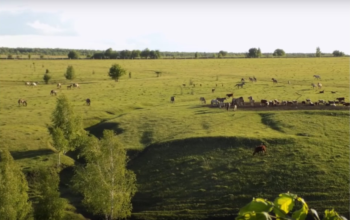 Мох и мамонты (часть 2) - 96 Мох и мамонты (часть 2) - 96