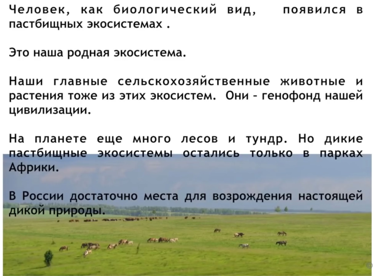 Мох и мамонты (часть 2) - 98 image