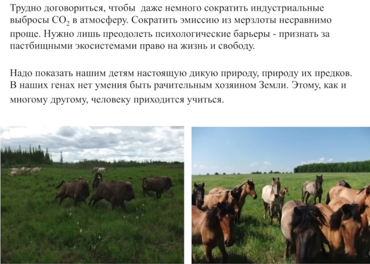 Мох и мамонты (часть 2) - 99 image