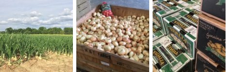 Я продаю лук в Интернете - 4 Я продаю лук в Интернете - 4