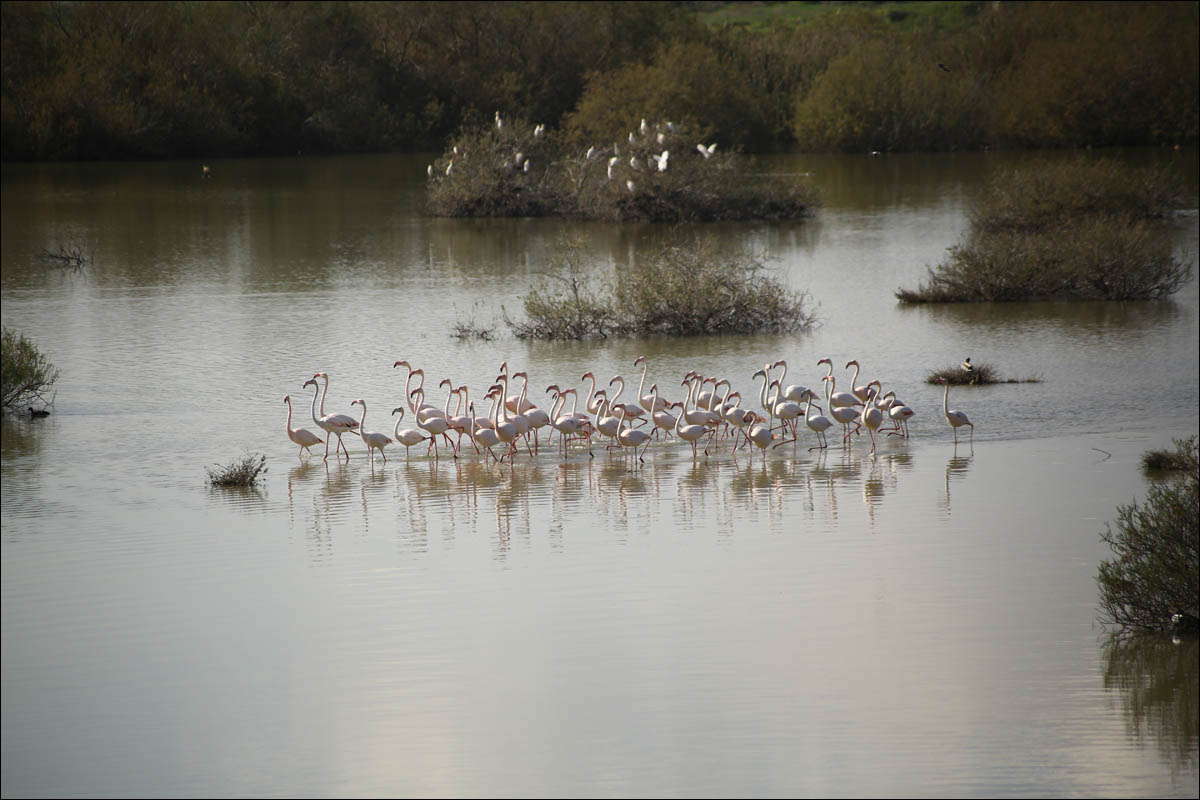 Кипр — минутка мягкого психодела - 11