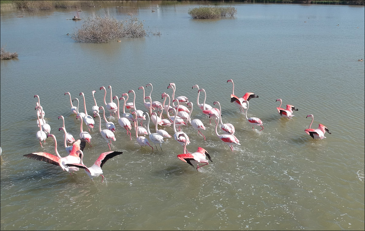 Кипр — минутка мягкого психодела - 12