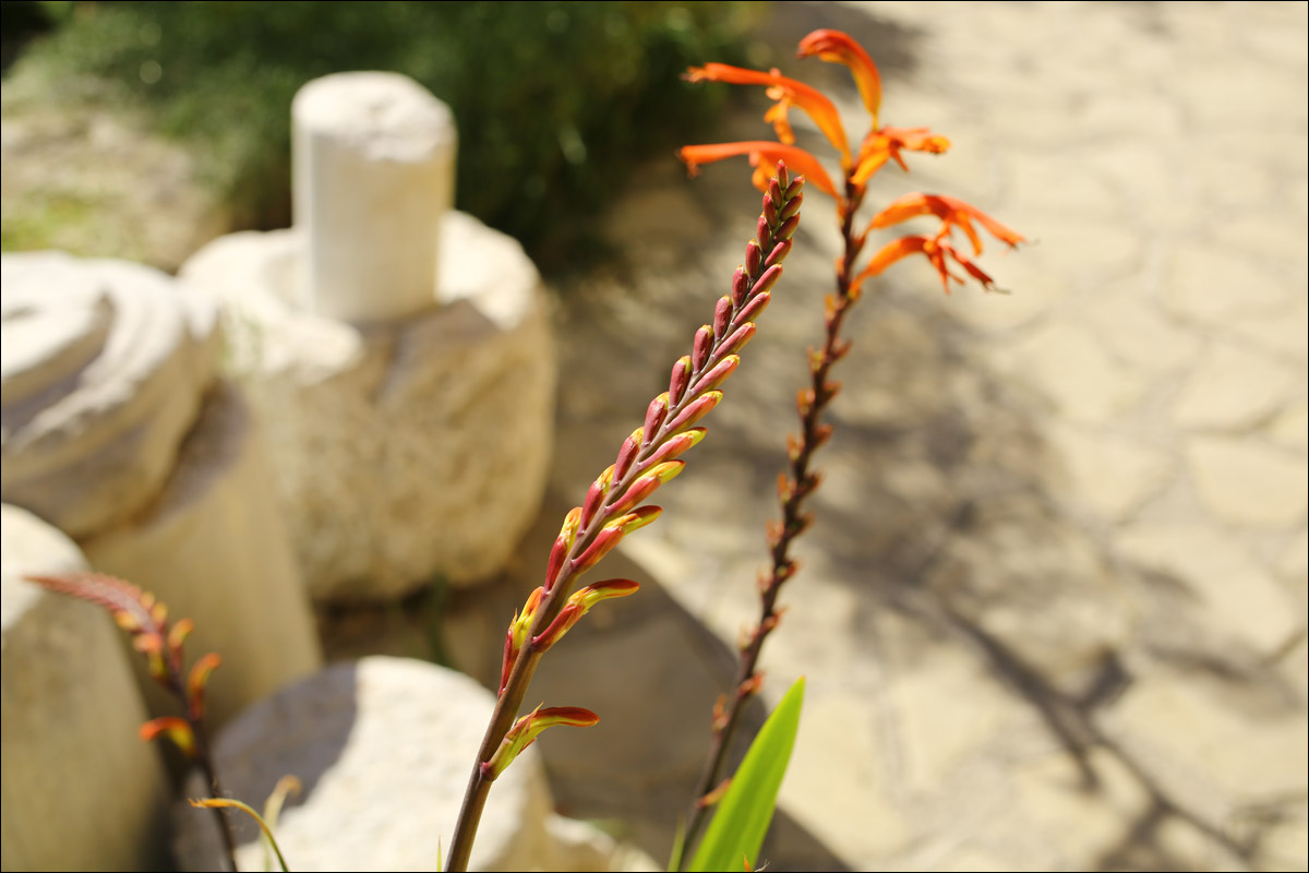 Кипр — минутка мягкого психодела - 19