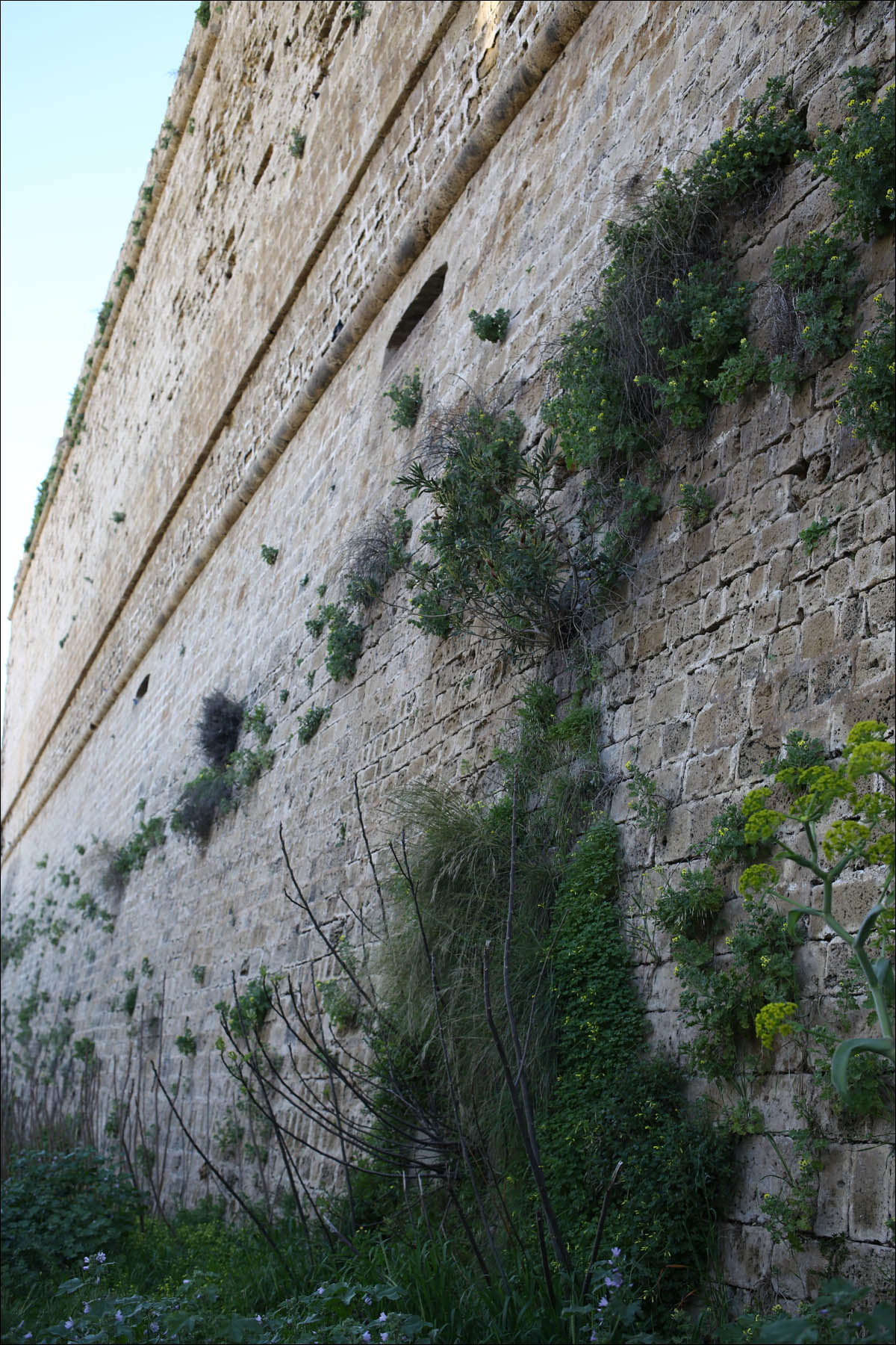 Кипр — минутка мягкого психодела - 20