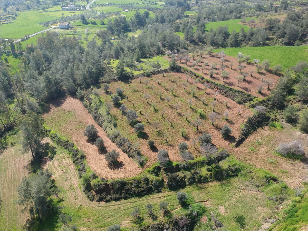 Кипр — минутка мягкого психодела - 23