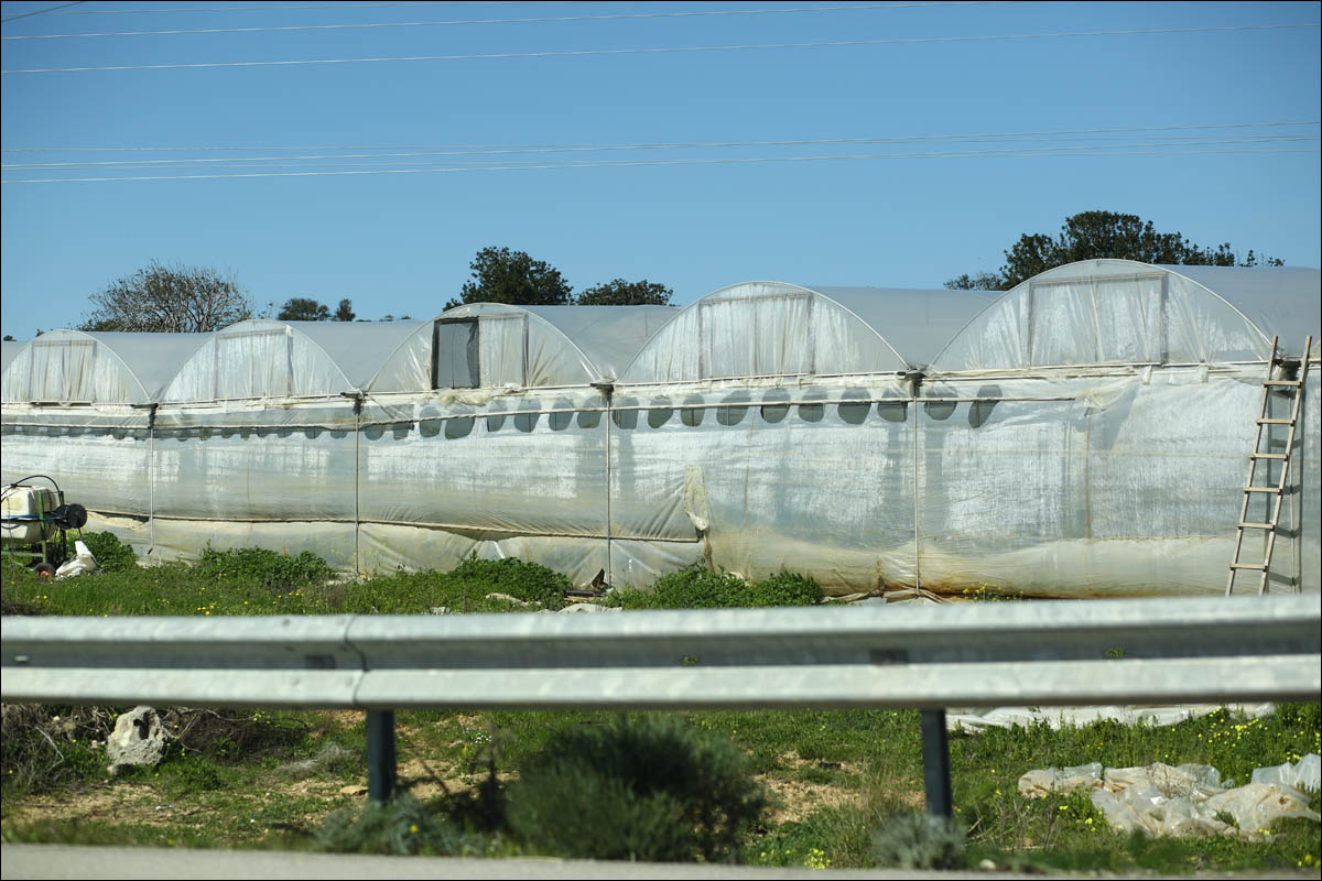 Кипр — минутка мягкого психодела - 25