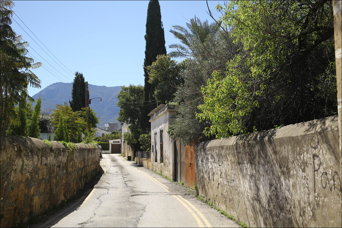 Кипр — минутка мягкого психодела - 35